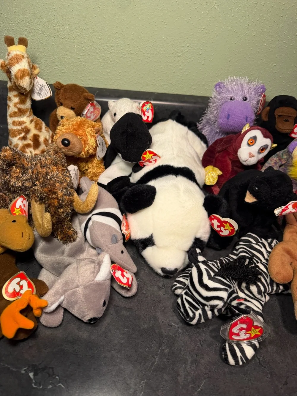 Ty diverse collection